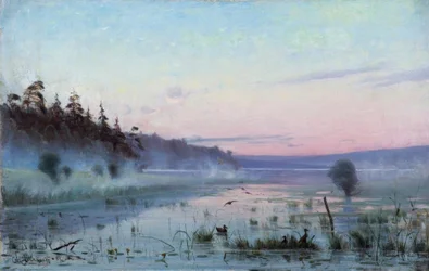 Morgennebel über dem See